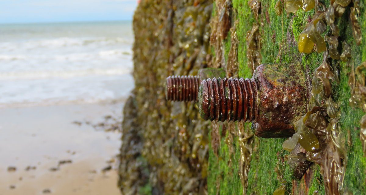 Programmiersprache: Rust 1.57 – Don’t Panic!