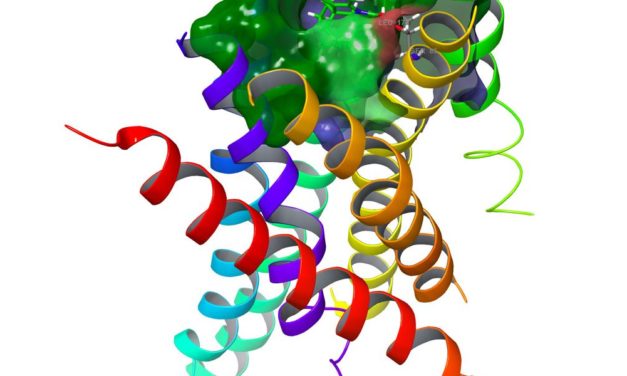Bitter-Geschmacksrezeptoren können Krebs hemmen