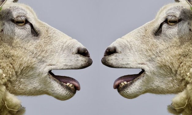 Toleranz der Ignoranz