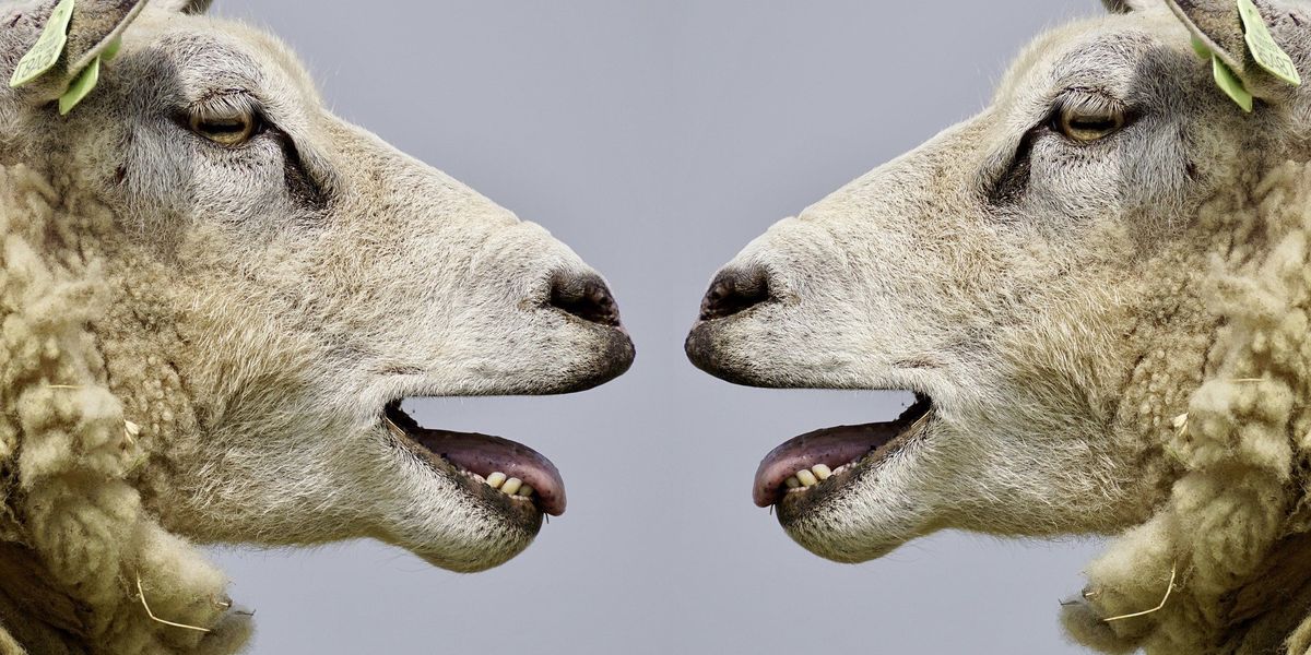 Toleranz der Ignoranz