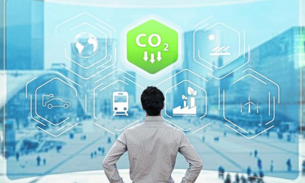 Die besten Finanzunternehmen 2021 sind klimafit und krisenresistent