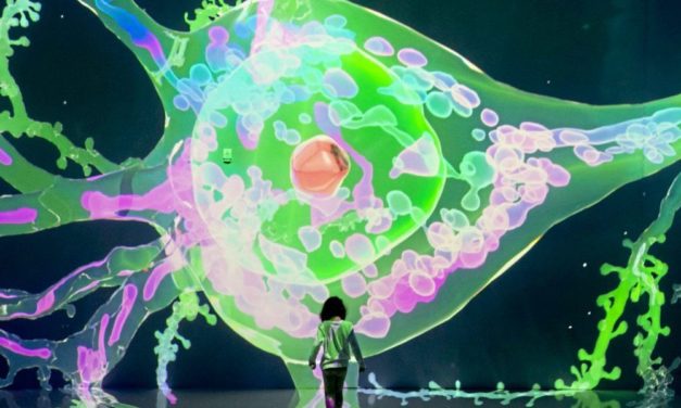 Autismus: Störung oder Superkraft?