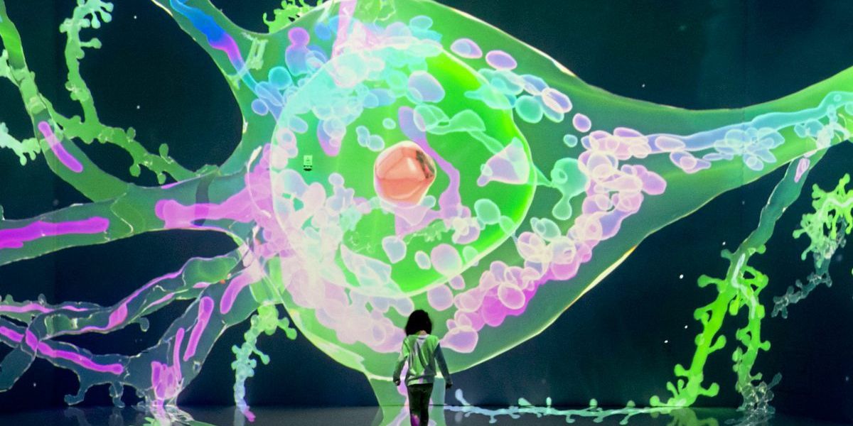 Autismus: Störung oder Superkraft?