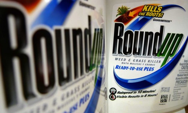 Bayer: Zweiter Glyphosat-Prozess in den USA gewonnen