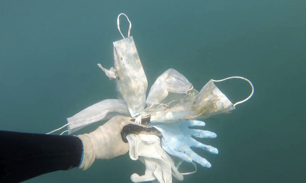 Achtlos weggeworfene Masken werden für Umwelt und Tiere gefährlich