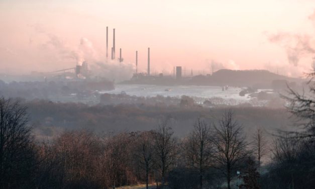 Klimaschutz und Wirtschaftswachstum: Die Entstofflichung der Wirtschaft macht es möglich