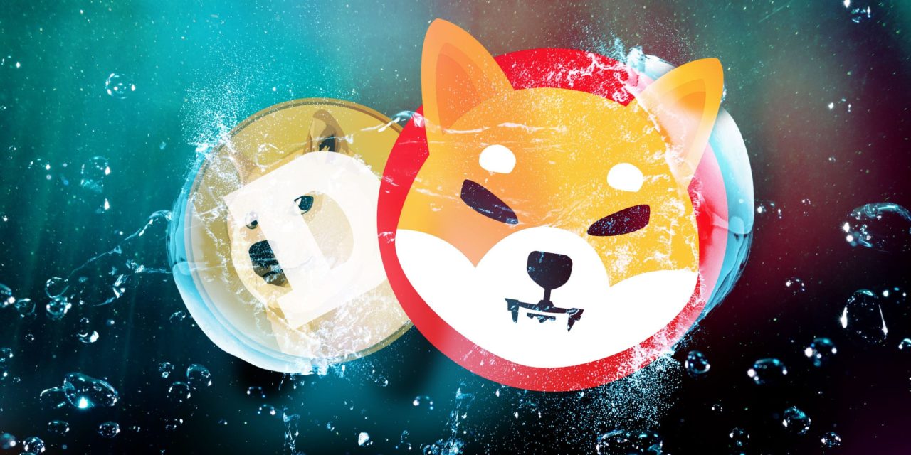 Shiba Inu mit Rückenwind in Indien und der Türkei | BTC-ECHO