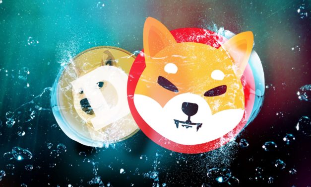 Shiba Inu mit Rückenwind in Indien und der Türkei | BTC-ECHO