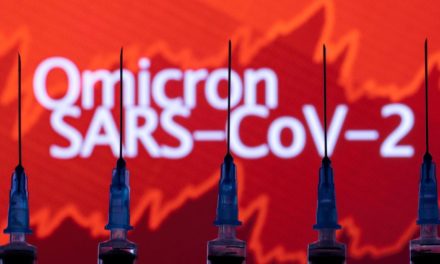 Experten pessimistisch wegen Omikron: „Die Fahnen sind auf Rot“