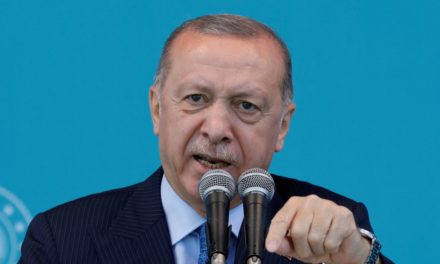 Türkische Lira: Absturz nach weiterer Zinssenkung, Zentralbank macht es Erdoğan erneut recht