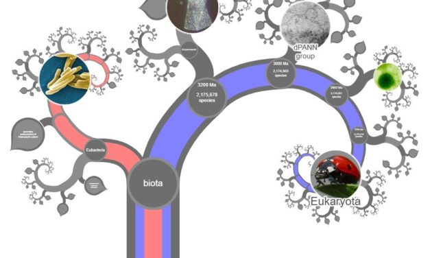Virtueller Baum des Lebens präsentiert die Arten der Erde