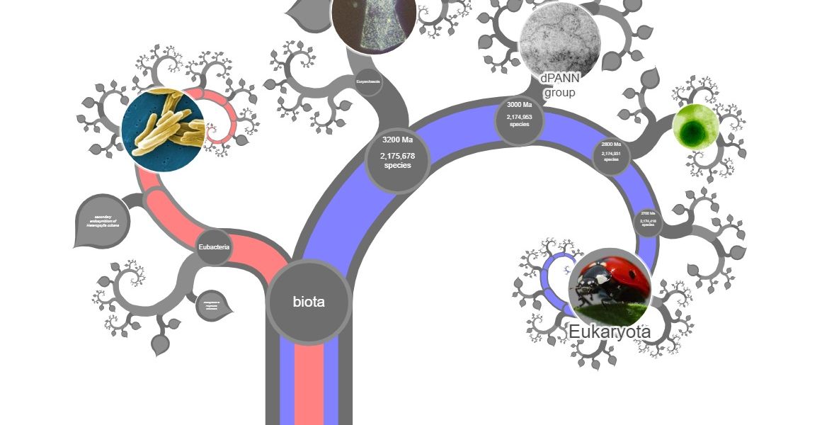 Virtueller Baum des Lebens präsentiert die Arten der Erde