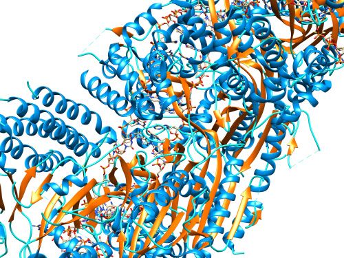 Werkzeug ermittelt exakt wie nie zuvor, wie Proteine in 3D aussehen