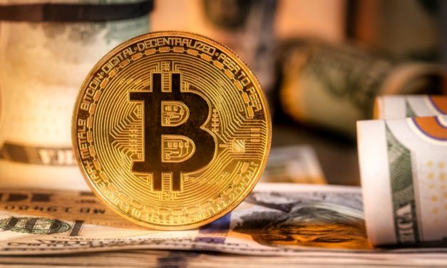Millionäre setzen auf Bitcoin | BTC-ECHO