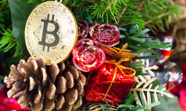 Weihnachten 2021: Fünf Krypto- und Bitcoin-Geschenkideen | BTC-ECHO