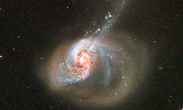 Nicht nur zum Fest: Buchtipps der STANDARD-Wissenschaftsredaktion