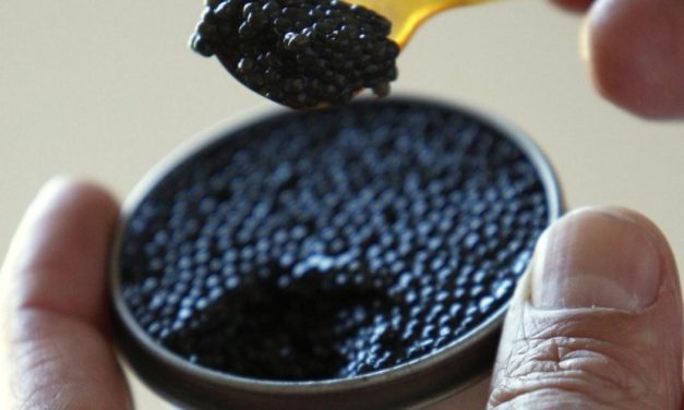 Preise für Kaviar in Russland um ein Drittel höher