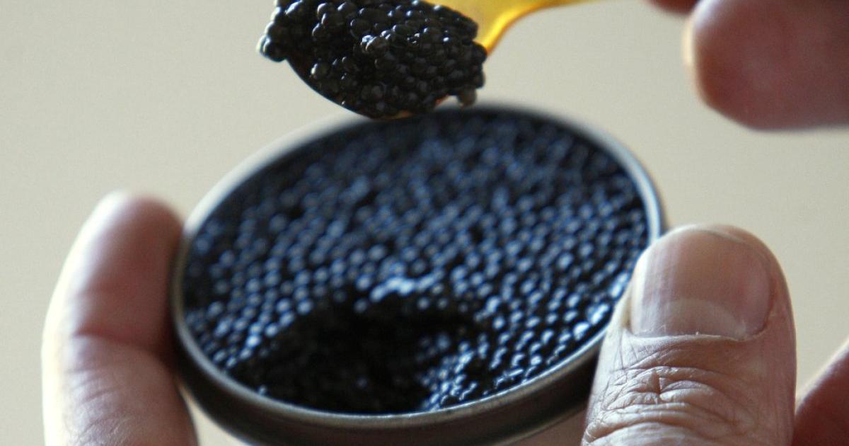 Preise für Kaviar in Russland um ein Drittel höher