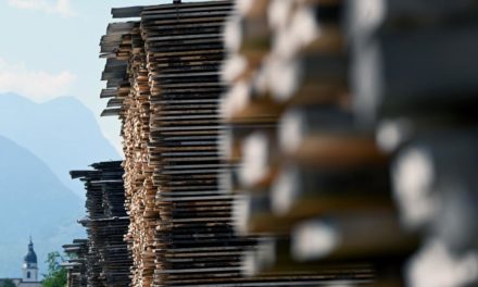 Parkettbodenhersteller Weitzer Parkett kaufte Sägewerk