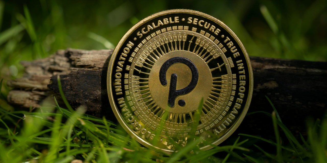 Polkadot: Fünf weitere Parachains sind live