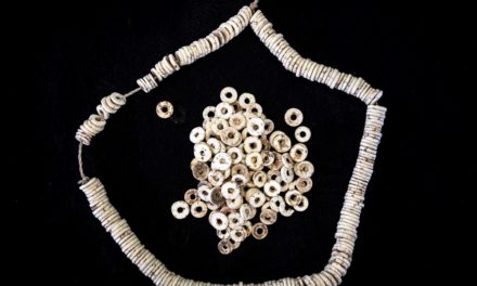 Schmuck aus Straußeneiern zeigt, wie vernetzt Menschen vor 50.000 Jahren waren