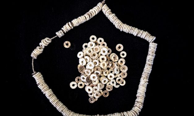 Schmuck aus Straußeneiern zeigt, wie vernetzt Menschen vor 50.000 Jahren waren