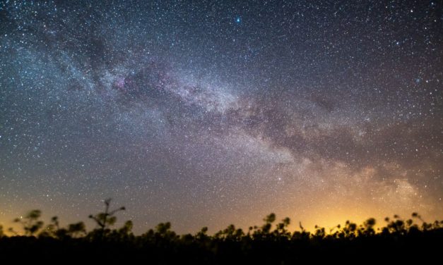 170 vagabundierende Planeten in sonnennaher Sternenfabrik entdeckt