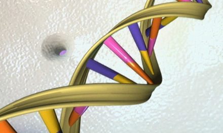 Die besten Nachrichten aus Forschung und Gesundheit 2021