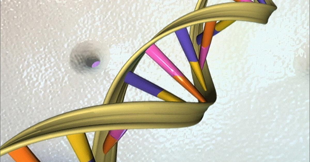 Die besten Nachrichten aus Forschung und Gesundheit 2021