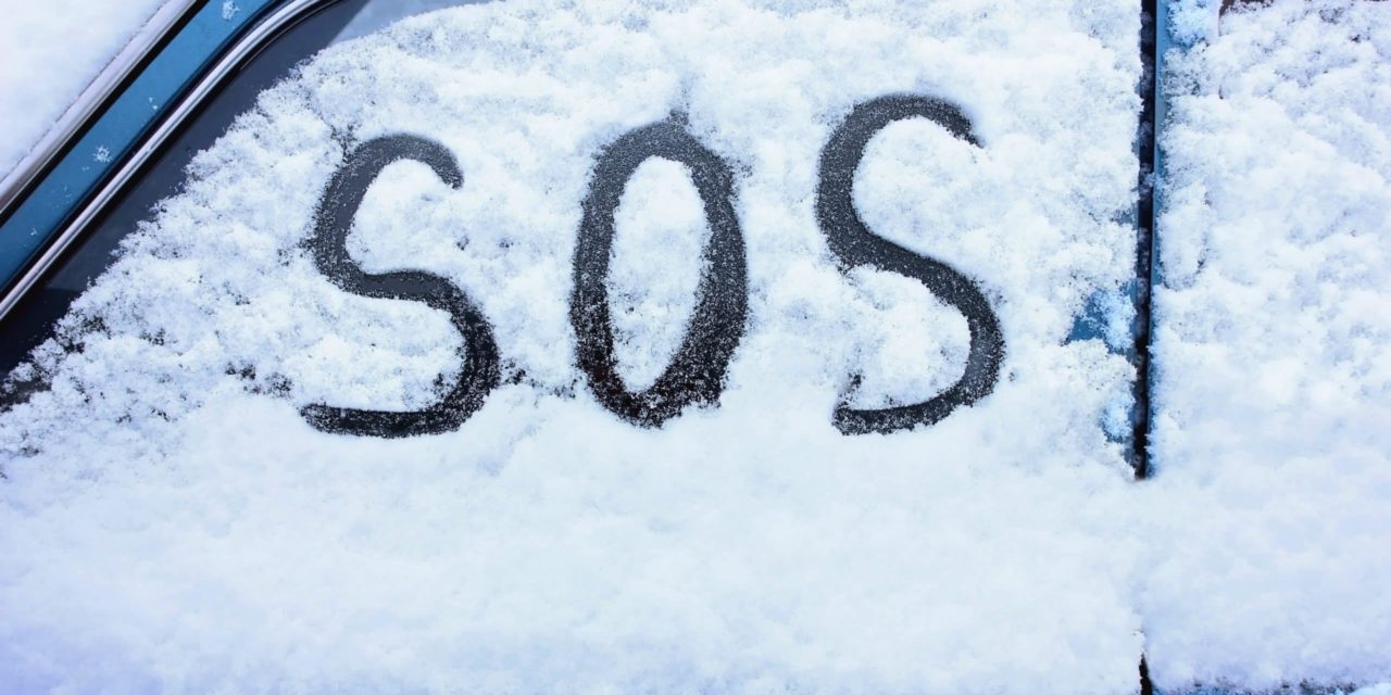 NFT-Weihnachten: SOS-Token pumpt um über 1.000 Prozent