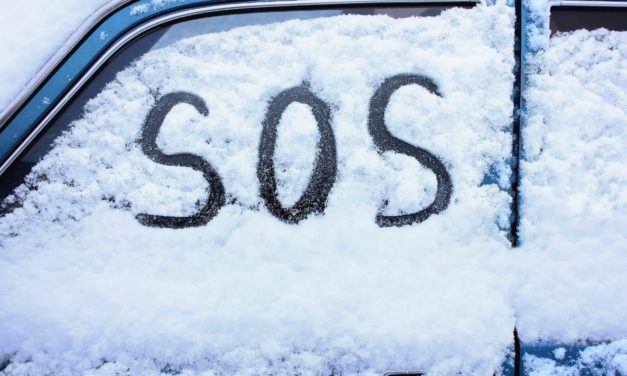 NFT-Weihnachten: SOS-Token pumpt um über 1.000 Prozent