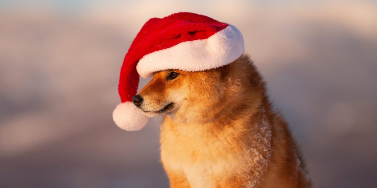 HOHOHO: Memecoin verzeichnet nach Musk-Tweet großes Wachstum