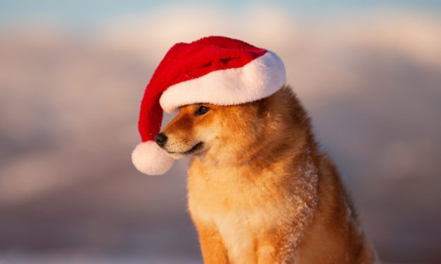 HOHOHO: Memecoin verzeichnet nach Musk-Tweet großes Wachstum