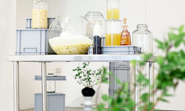 Künstlerische Fermentations-Studien mit überraschenden Ergebnissen