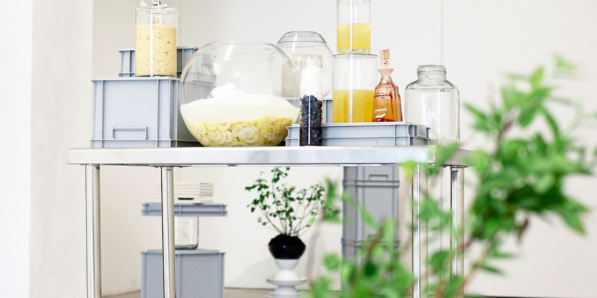 Künstlerische Fermentations-Studien mit überraschenden Ergebnissen