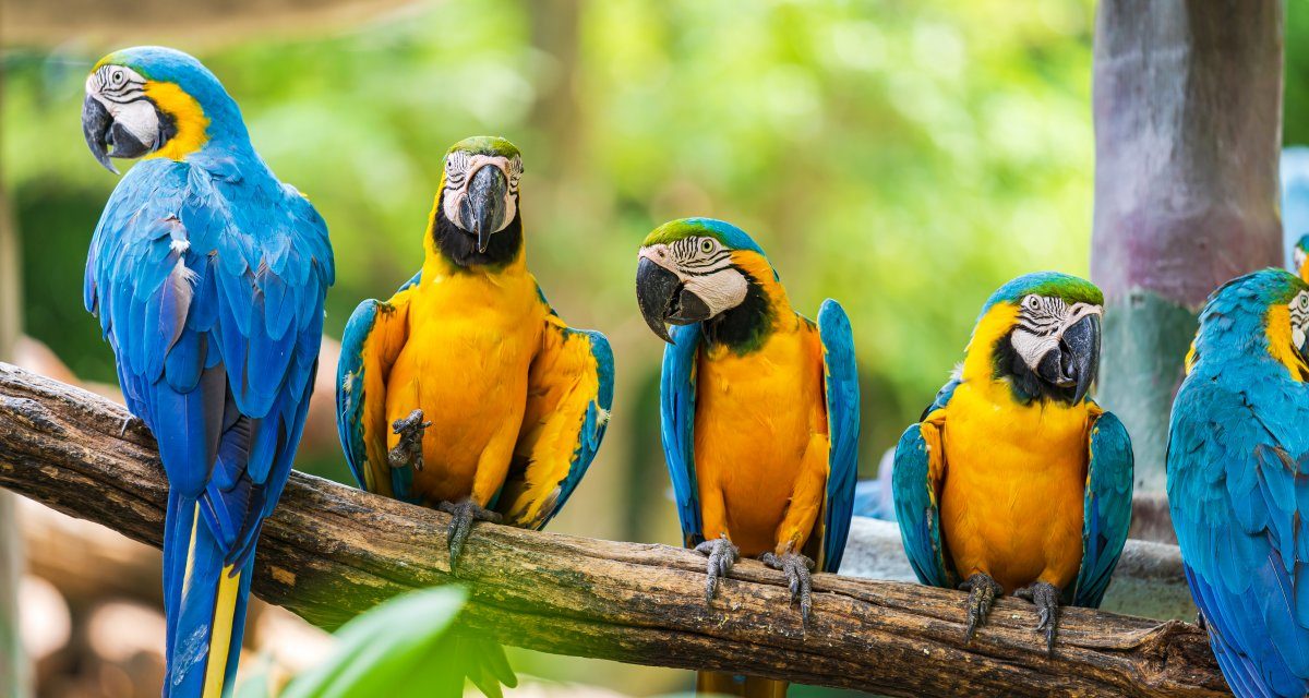 Windows 11: Probleme mit Farbdarstellung möglich