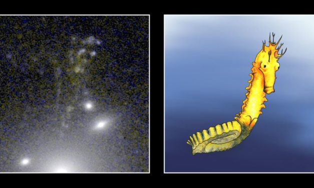 Forschungsteam findet Milchstraßen-Zwilling im frühen Universum