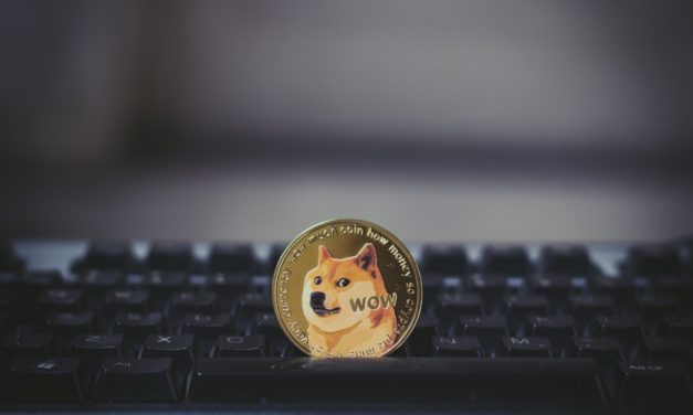 Der Krypto-Jahresrückblick 2021 – Teil 1: Memecoins und Ripple