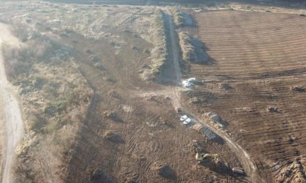 Wald-Rodung: Millionen-Deal der Bundesforste mit ÖVP-Großspender