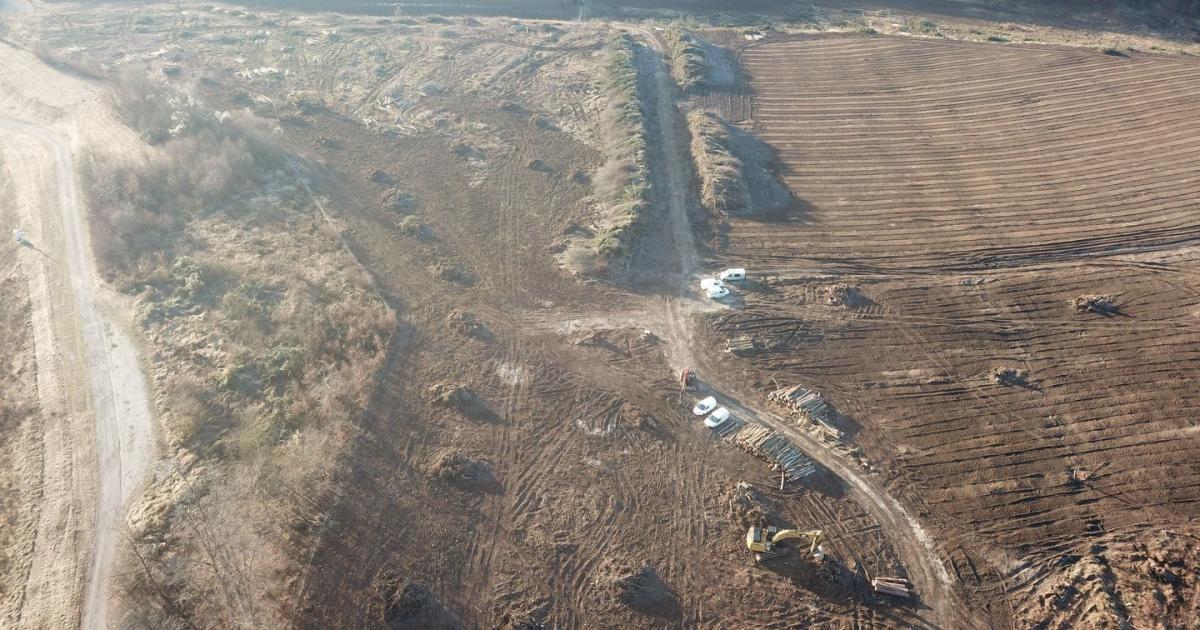 Wald-Rodung: Millionen-Deal der Bundesforste mit ÖVP-Großspender