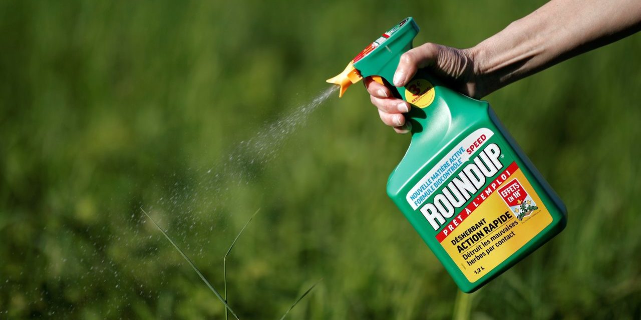 Bayer: Anleger verlangen 2,2 Milliarden Euro Schadensersatz wegen Monsanto