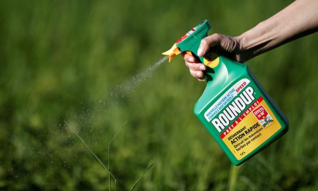 Bayer: Anleger verlangen 2,2 Milliarden Euro Schadensersatz wegen Monsanto