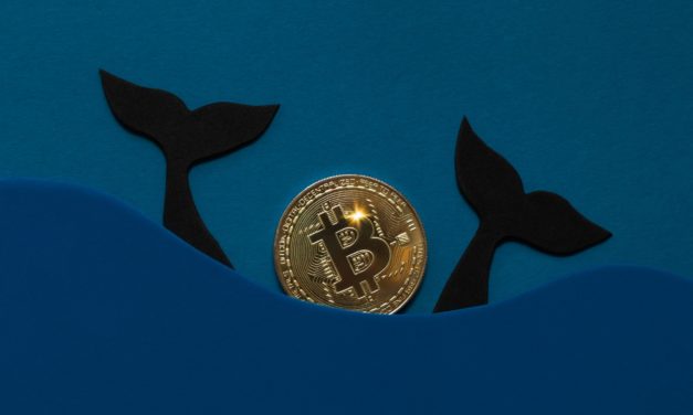 Günstige Gelegenheit? Drittgrößte Bitcoin-Wallet schlägt zu
