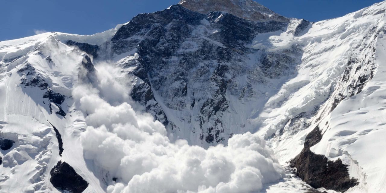 Ava-Labs-Chef Wu: Kryptomarkt verdoppelt sich 2022