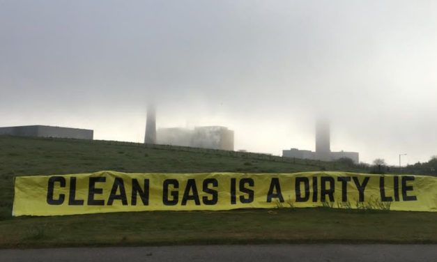 „Greenwashing“ oder Gütesiegel?