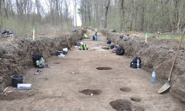 Das verschwundene Dorf: Ausgrabungen im Matzner Wald