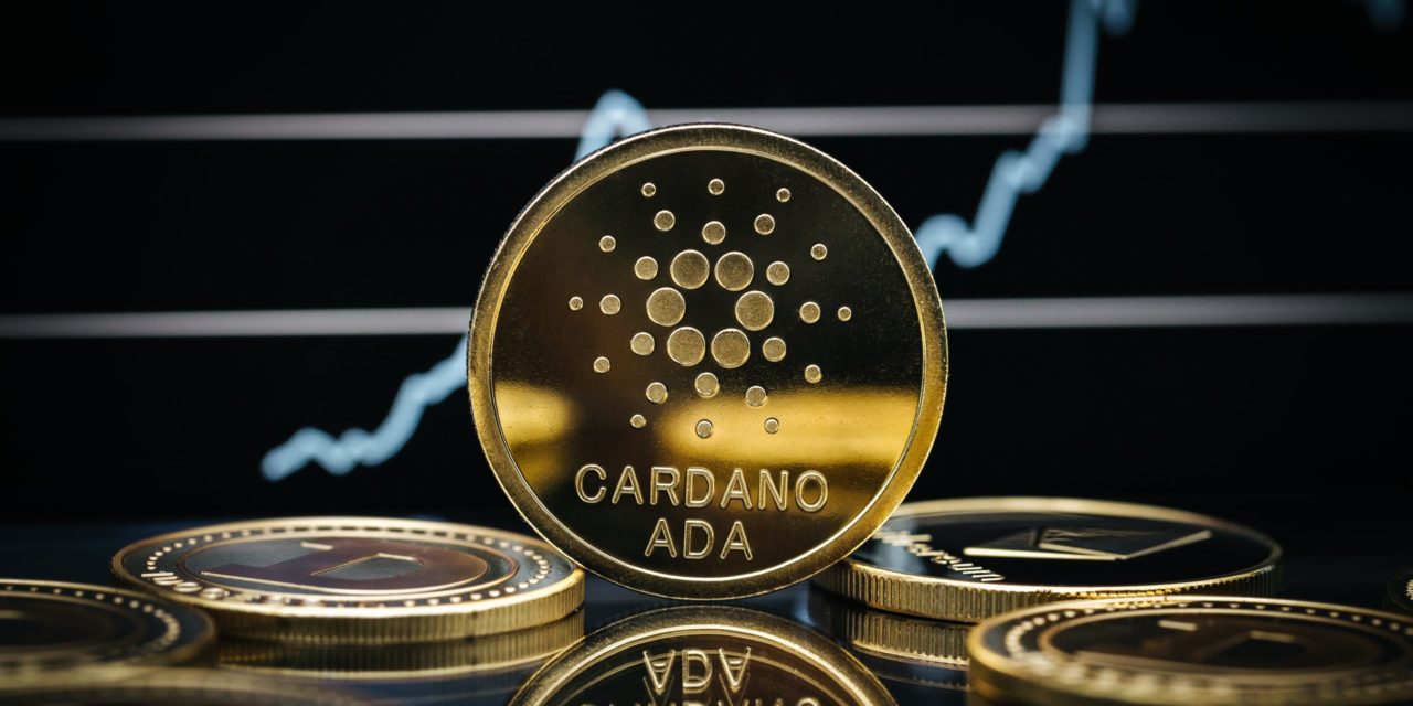 Cardano: Aktive Adressen in einer Woche um 50 Prozent gestiegen