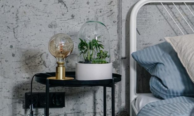 Interiortrend Flaschengarten: Das Biotop im Glas