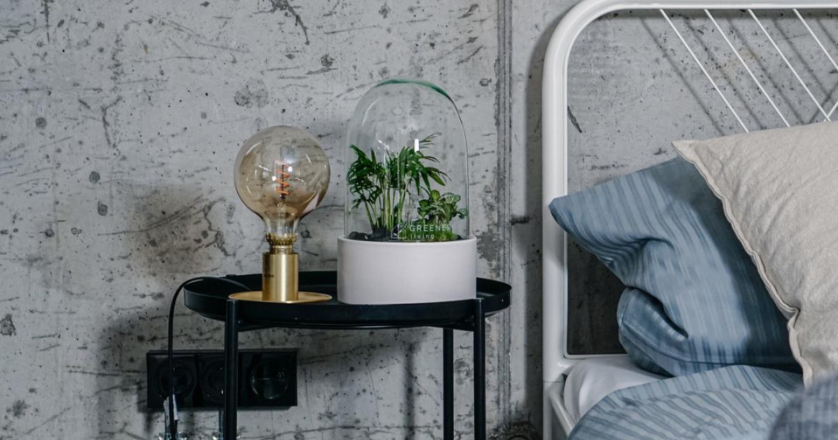 Interiortrend Flaschengarten: Das Biotop im Glas