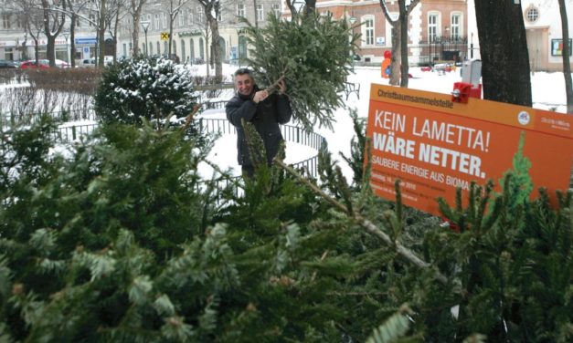 Letzte Reise der Christbäume: Tipps zum Entsorgen und Weiterverwerten